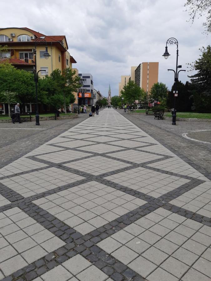 Kossuth Apartman بودابست المظهر الخارجي الصورة